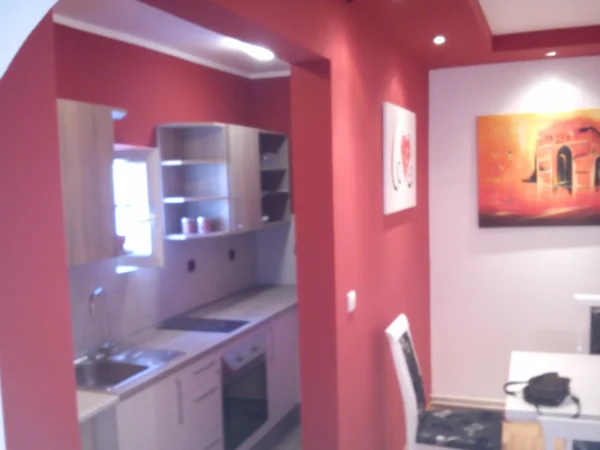 adaptacija_stana_pancevo (1)