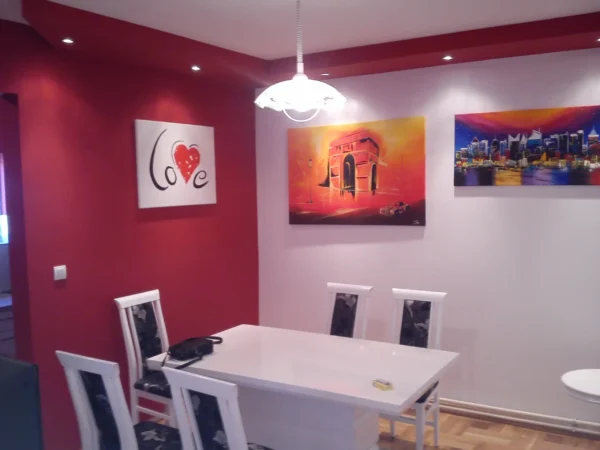 adaptacija_stana_pancevo (3)