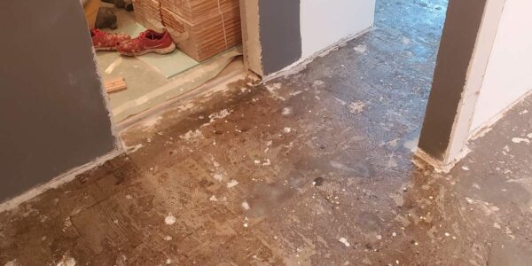 adaptacija_stana_tolbuhina_parket (3)